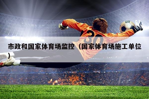 市政和国家体育场监控(国家体育场施工单位)