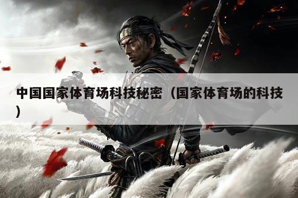 中国国家体育场科技秘密（国家体育场的科技）