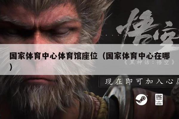 国家体育中心体育馆座位(国家体育中心在哪)