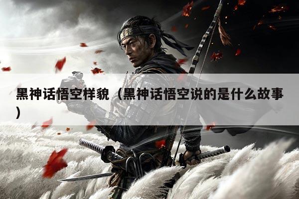 黑神话悟空样貌（黑神话悟空说的是什么故事）