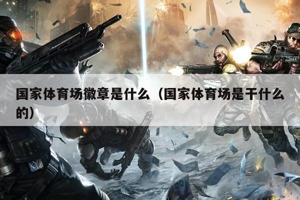 国家体育场徽章是什么（国家体育场是干什么的）