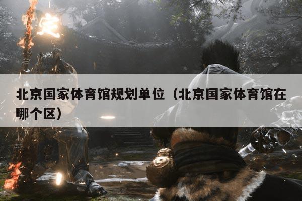 北京国家体育馆规划单位（北京国家体育馆在哪个区）