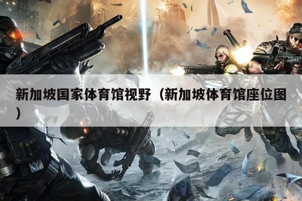 新加坡国家体育馆视野(新加坡体育馆座位图)