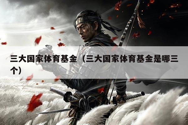 三大国家体育基金(三大国家体育基金是哪三个)
