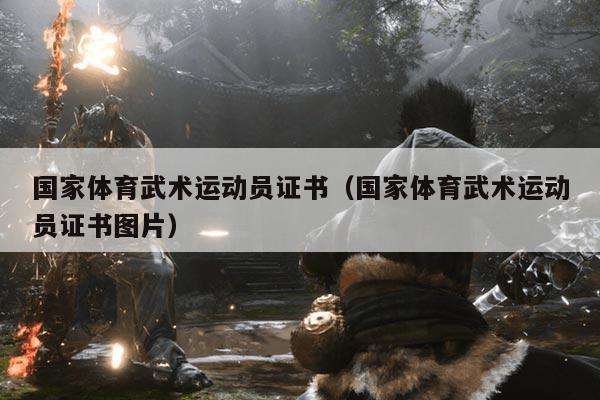 国家体育武术运动员证书（国家体育武术运动员证书图片）