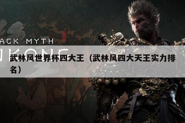 武林风世界杯四大王（武林风四大天王实力排名）