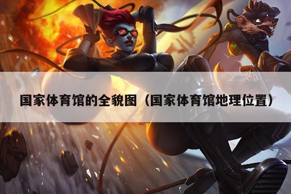 国家体育馆的全貌图（国家体育馆地理位置）